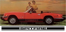 Juego completo Spitfire Lower Rocker Stripe personalizado (2)