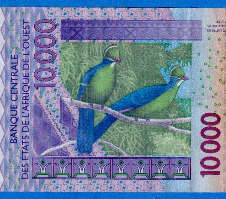Niger - West African States CFA 10000 Francs 2006 P-618Hd  Circ 06593008455 RARE - Image 4 of 4