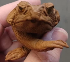 Handmade Sugar Cane Toad Keychain - Real Toad Leather