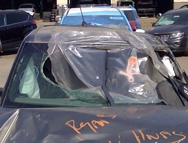 14 15 16 2017 18 19 Kia Soul Passenger RH Tail Light Incandescent Lamp Foto 4 de 4