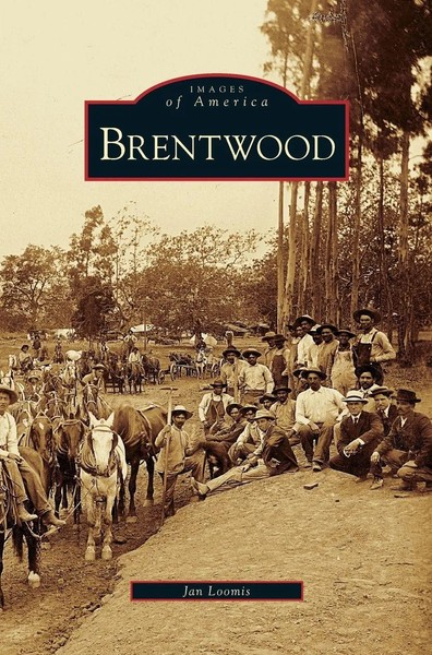 Jan Loomis | Brentwood | Buch | Englisch (2008) | Gebunden | EAN 9781531635824-image
