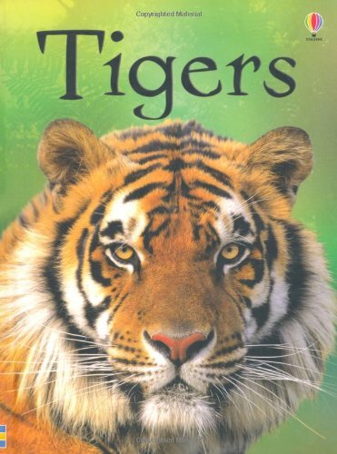 Beginners: Tigers (Usborne Beginners),James Maclaine,John Francis