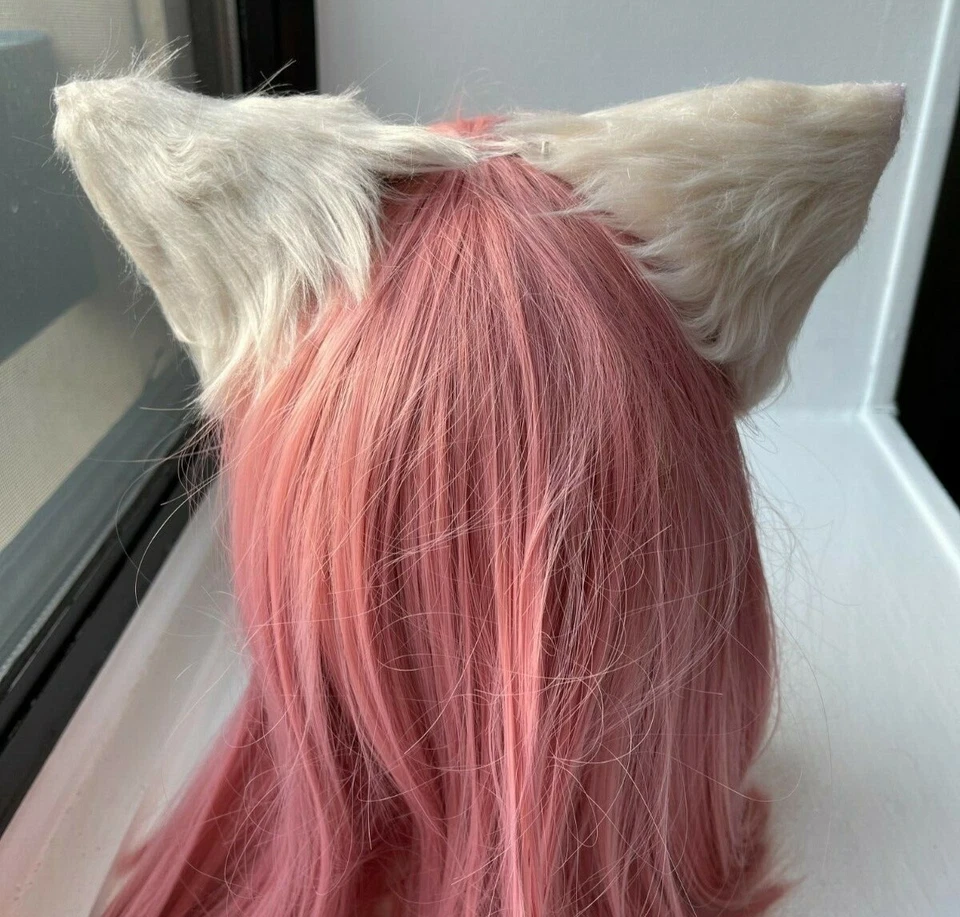 orelhas brancas de gato - Imagem 4 de 4