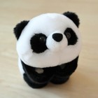 Bild 8 von 11