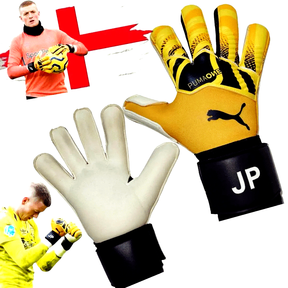 jordan pickford nike gloves