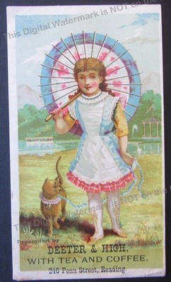 c1890s Deeter & High w Tea + Coffee 246 Penn St Reading PA Girl Cat Trade Card 