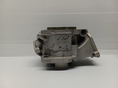 Rotax Max Junior EVO Zylinder Pk