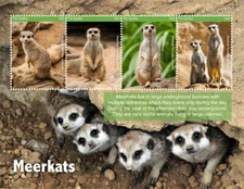 Gambia 2017 - Meerkats - Sheet of 4 Stamps - MNH