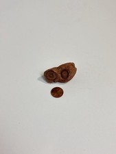 Stromatolith aus Marokko_4x2,5x2,3 cm_33 g_S-0016