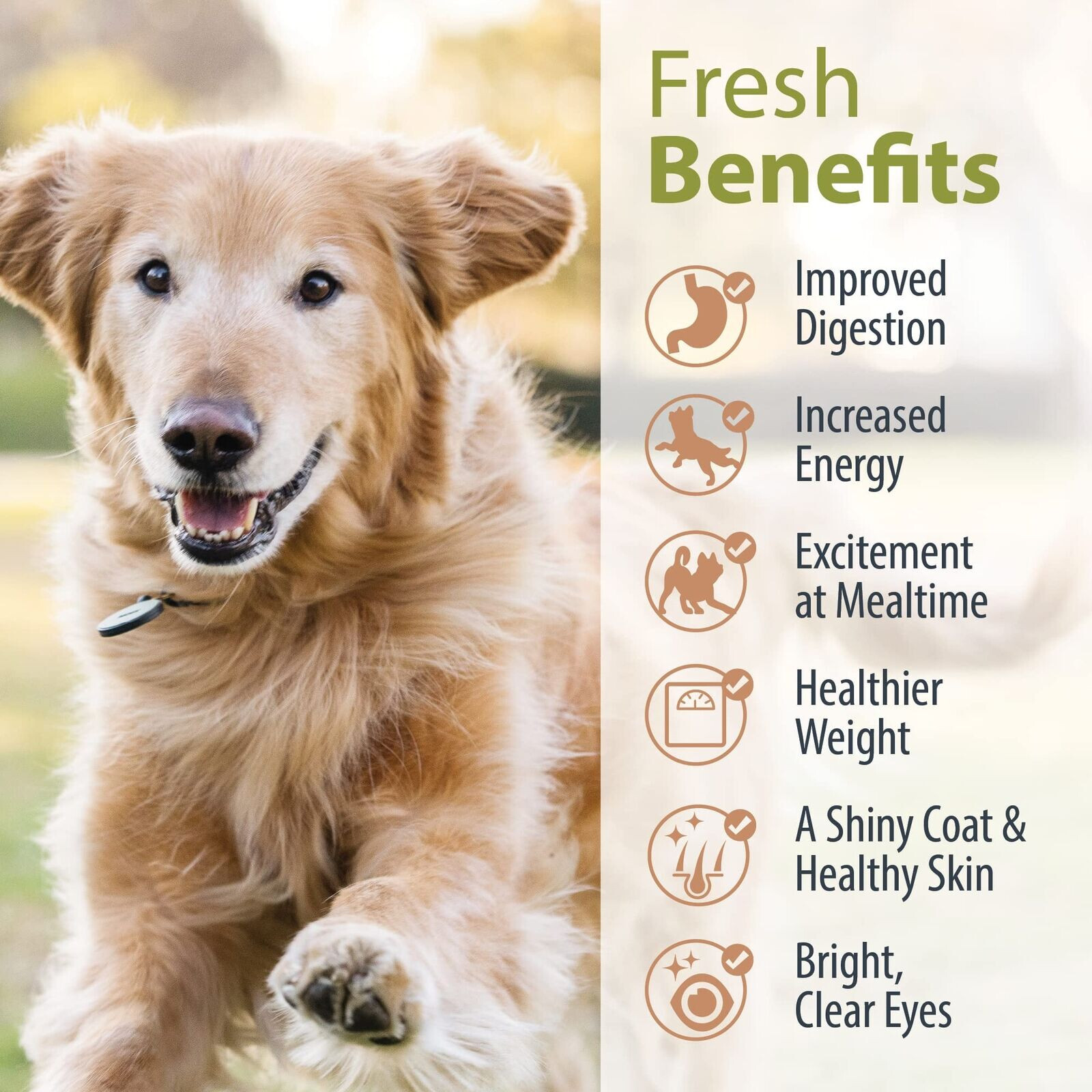 DIY Nutrient Blend for Homemade Dog Food, Beef & Russet Potato, 4.55oz