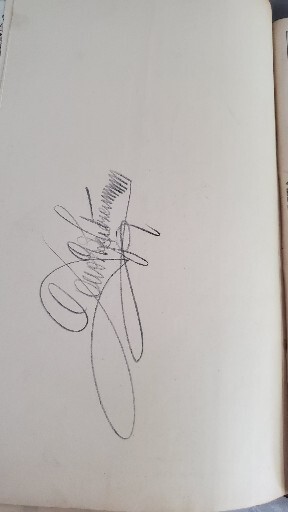 Picture 14 of 18