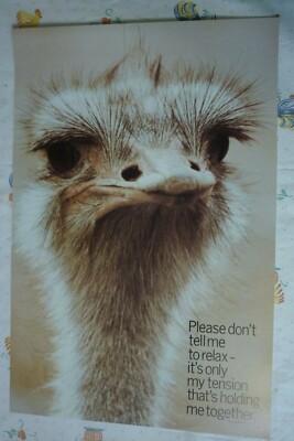 1981 VINTAGE NOS ARGUS POSTER  21'' X 14''  EMU BIRD PLEASE DONT TELL ME TO RELAX 
