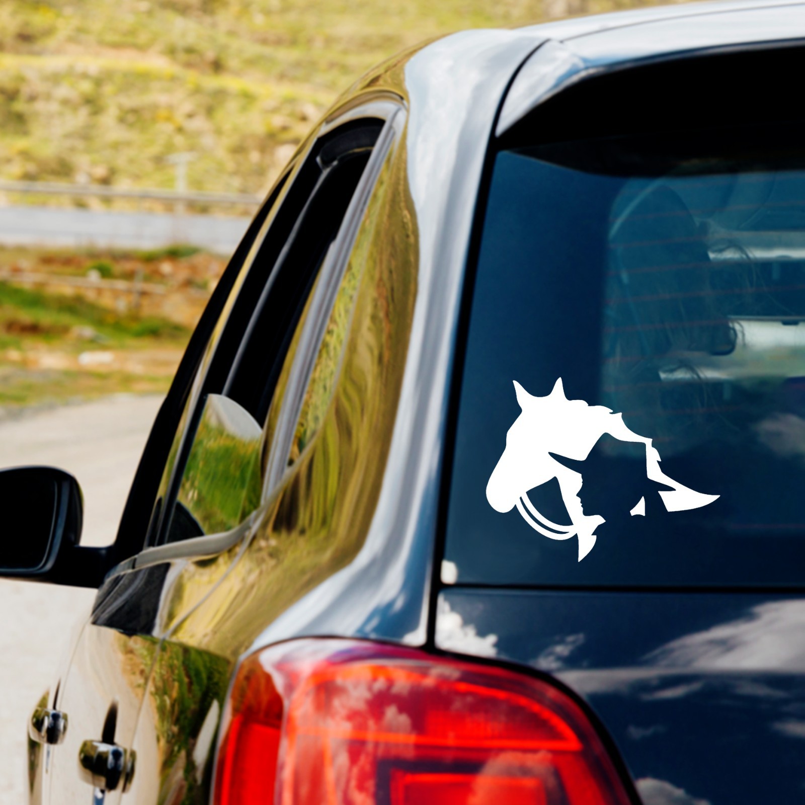 Horse Cowgirl  Vinyl Decal Sticker Car Truck Window Laptop Water Bottle Sticker