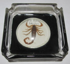 Vintage  Cd. Juarez Mexico Bubble Glass Real Scorpion Ashtray Cigarette Tobacco — photo 1