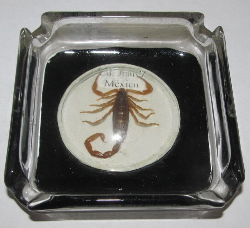 Vintage  Cd. Juarez Mexico Bubble Glass Real Scorpion Ashtray Cigarette Tobacco