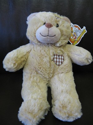 ultrasound bear