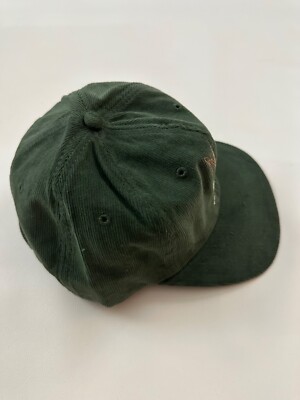 Travis Scott Cactus Farms Embroidered Green Graphic Snapback Hat Cap One  Size | eBay