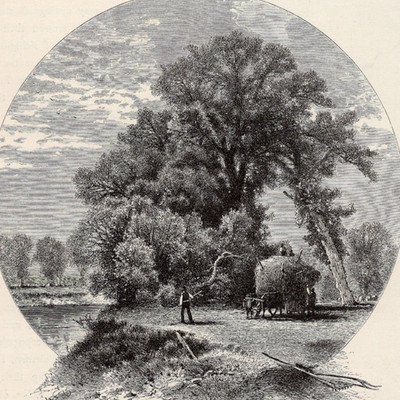 Elms on the Genesee Flats and Valley Farmland Scenes New York 1872 Engraving