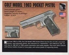 COLT MODEL 1903 POCKET PISTOL USA Hand Gun Classic Firearms PHOTO CARD