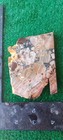 Rough End Cut Dead Camel Jasper 173g. 5/1_" Thick Lapidary Cabbing #A-6 — photo 2