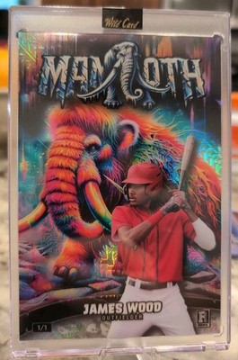 Wild Card 2024 1/1 James Wood Dino-Might Rookie Mammoth Baseball Prehistoric 