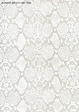 Blankey Jet City 1991-1995 Band Score White Edition Sheet Music Used