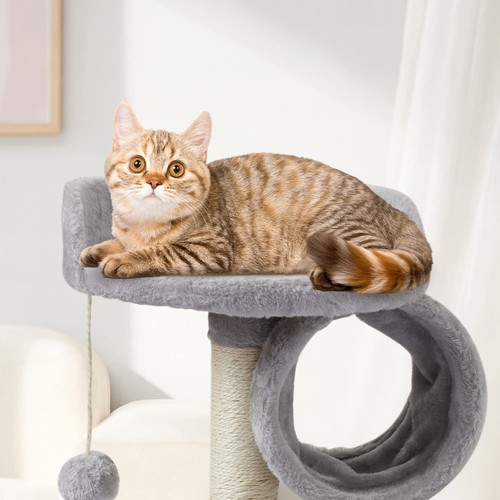 US01H Cute Cat Tree Kitten Cat Tower for Indoor Cat Condo Sisal Scratching Po... - Picture 3 of 6