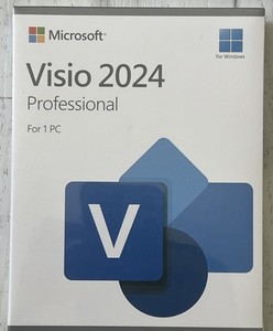 Ms Visio Professional | eBay