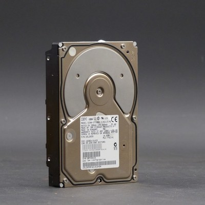 IBM DJNA-371800 18 GB ATA IDE interne Festplatte