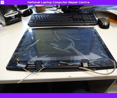 Dell Alienware M17x R2 17 Zoll WXGA+ LCD Bildschirm Display Baugruppe 0895C1