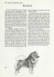 The Keeshond - CUSTOM MATTED - Vintage Dog Art Print - "G"
