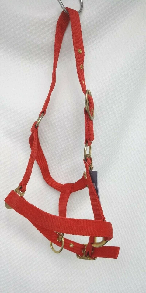 Catago Halfter Nylonhalfter Rot+Gold Beschläge 2fach verst. Fohlen = Mini Shetty - Bild 2 von 4