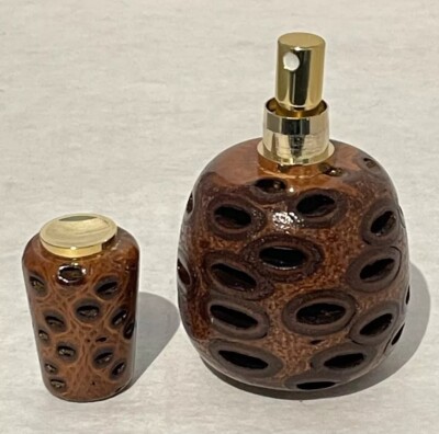 Perfume Diffuser Australia Banksia Nut Empty Natural Add Fragrance Scent Gift