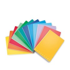 Maxi Quaderni Monocromo 10 pz. A4 righe terza elementare (B)