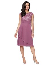 Alex Evenings Petite Stretch Tulle A-Line Dress - Dark Mauve - 14P