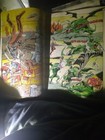 Foto 2 di 4