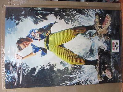  vintage Ace Venture Jim Carrey 1995 movie poster  12207