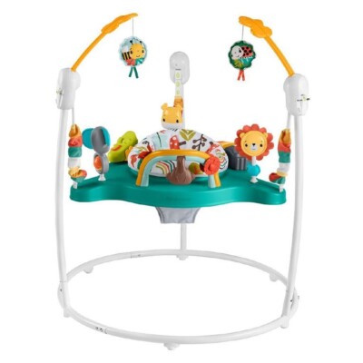 Fisher-Price Whimsical Jumperoo
