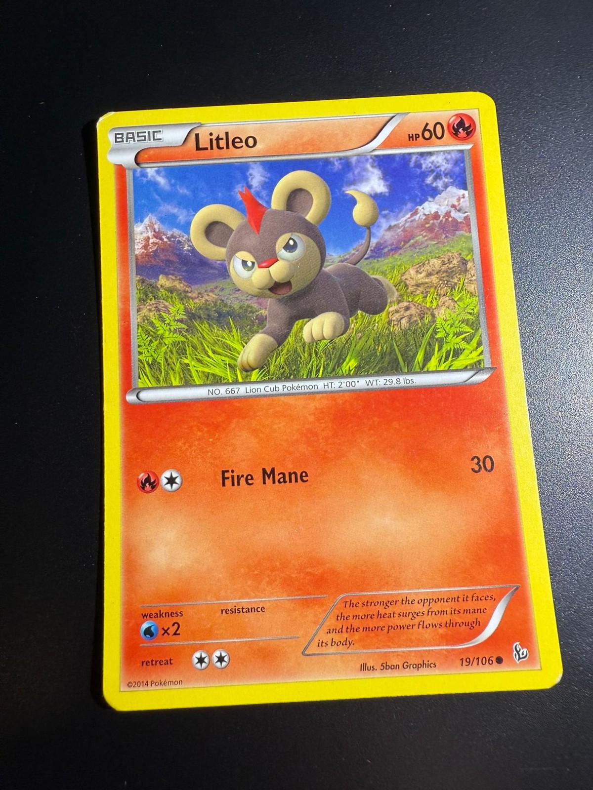 LITLEO 19/106 COMMON FLASHFIRE POKEMON HEAVILY PLAYED