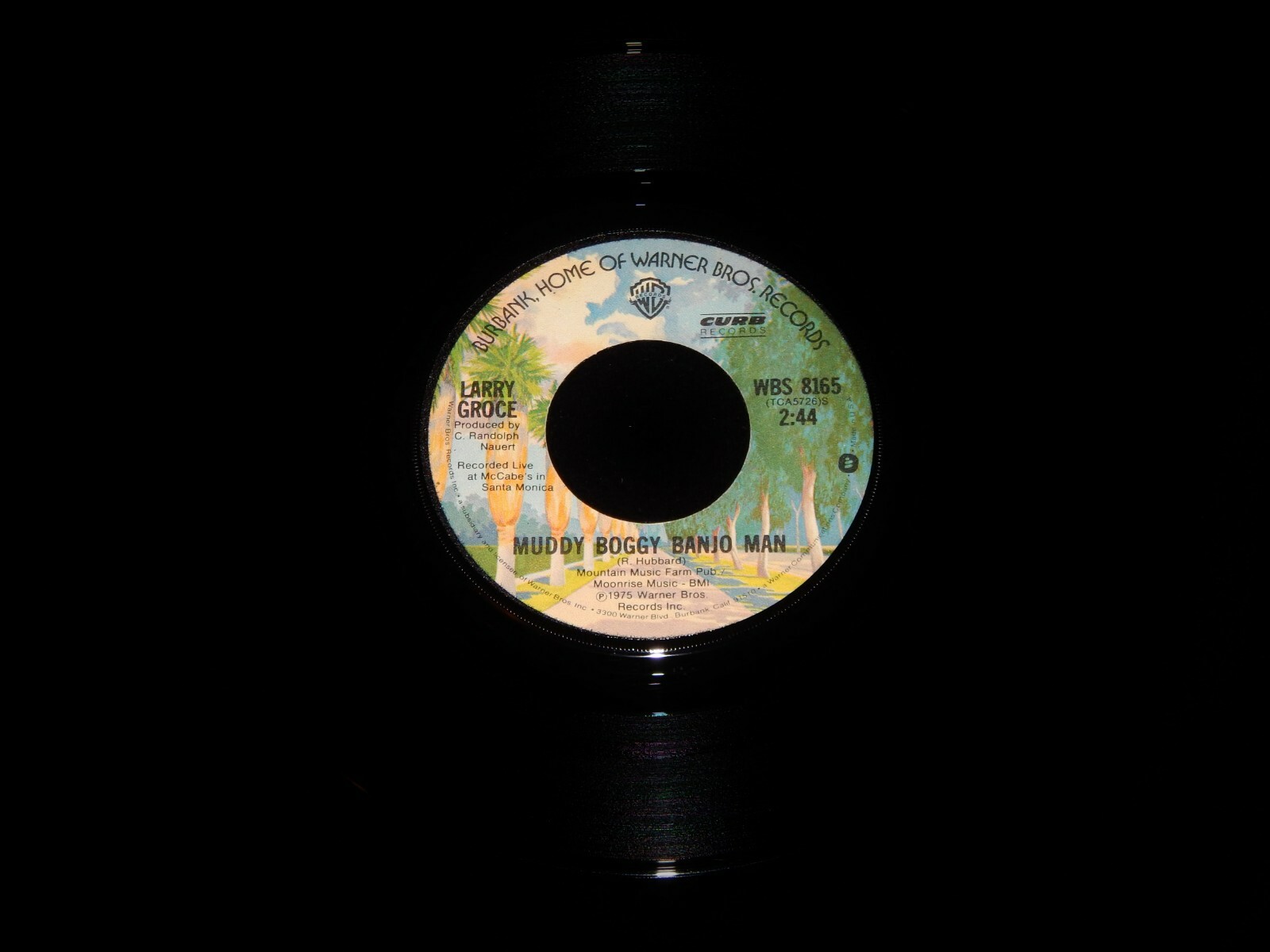 Vintage Record, LARRY GROCE JUNK FOOD JUNKIE & MUDDY BOGGY BANJO MAN