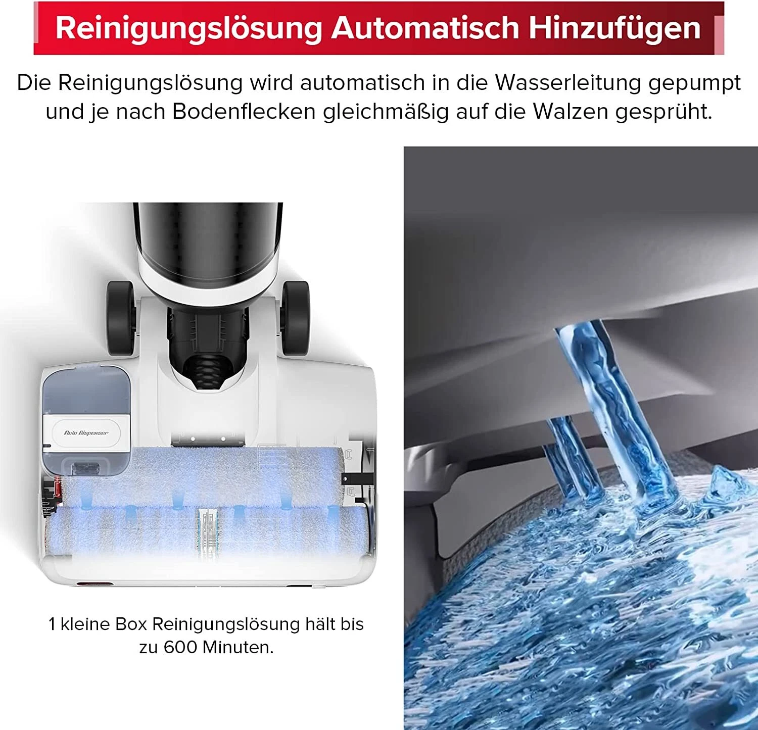 Bild 7 von 11