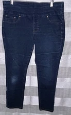 Jag Jeans Womens Blue NO Skinny Stretch Pull On Straight Leg 12P