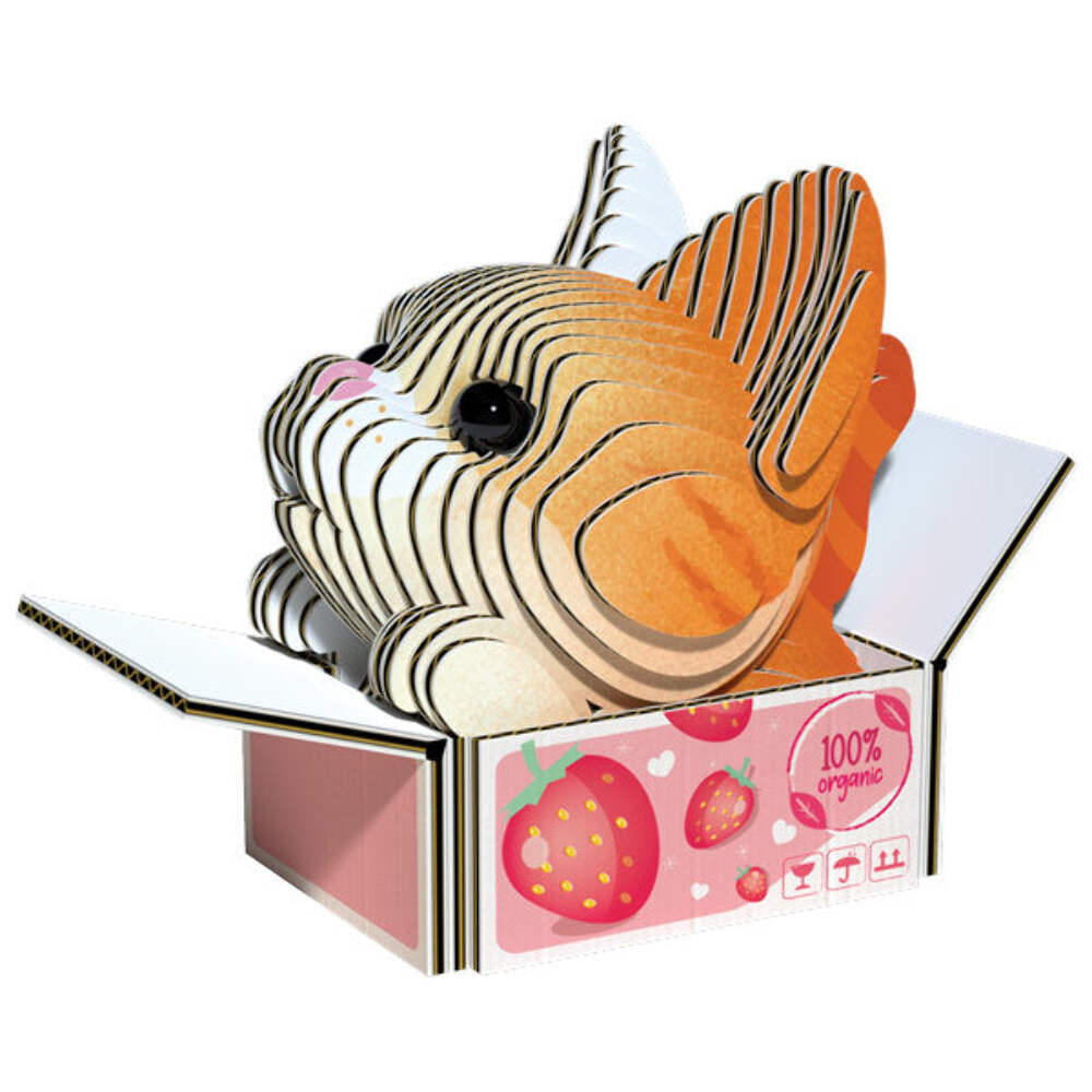 EUGY Cat-Pumpkin 3D Model Kit Educational STEM Toy Cat Gift Age 6+
