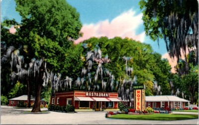 Eulonia GA Mossy Oaks Motel Restaurant Artist Rendering Georgia postcard NP6