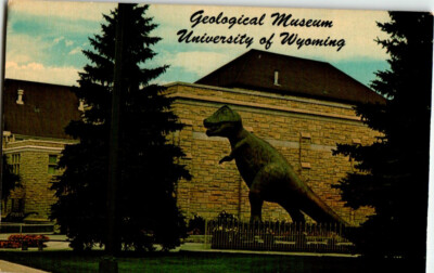 Geological Museum Dinosaur University of Wyoming postcard.