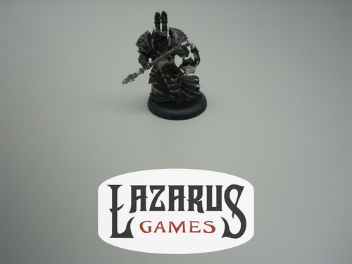 Warmachine: Protectorado de Menoth - Kreoss de alto ejemplar (prensa privada) - Imagen 1 de 4