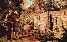 Key West Florida Ernest Hemingway Home Museum Sculpture Garden Vtg Postcard C2