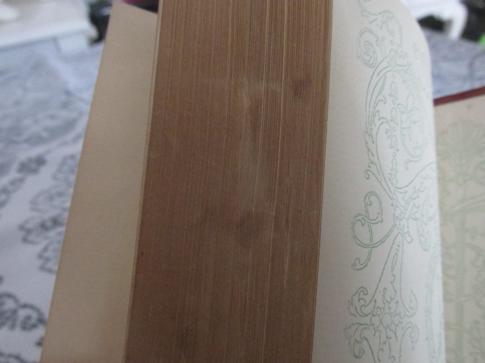 Picture 6 of 6