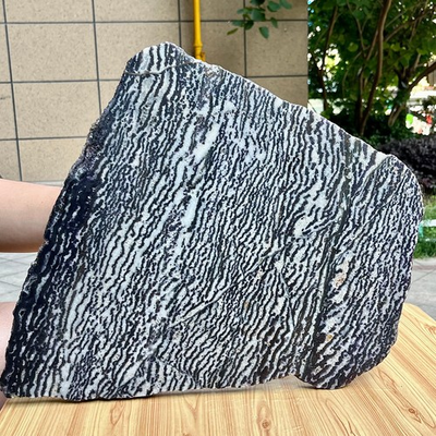#ad 12.4 lb Natural Polished Zebra Stone Slice Black White Banded Crystal Specimen $420.00