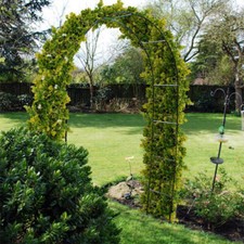 Garden Arch 2.4mts Sturdy Trellis Pergola Outdoor Plant Ornament Kingfisher